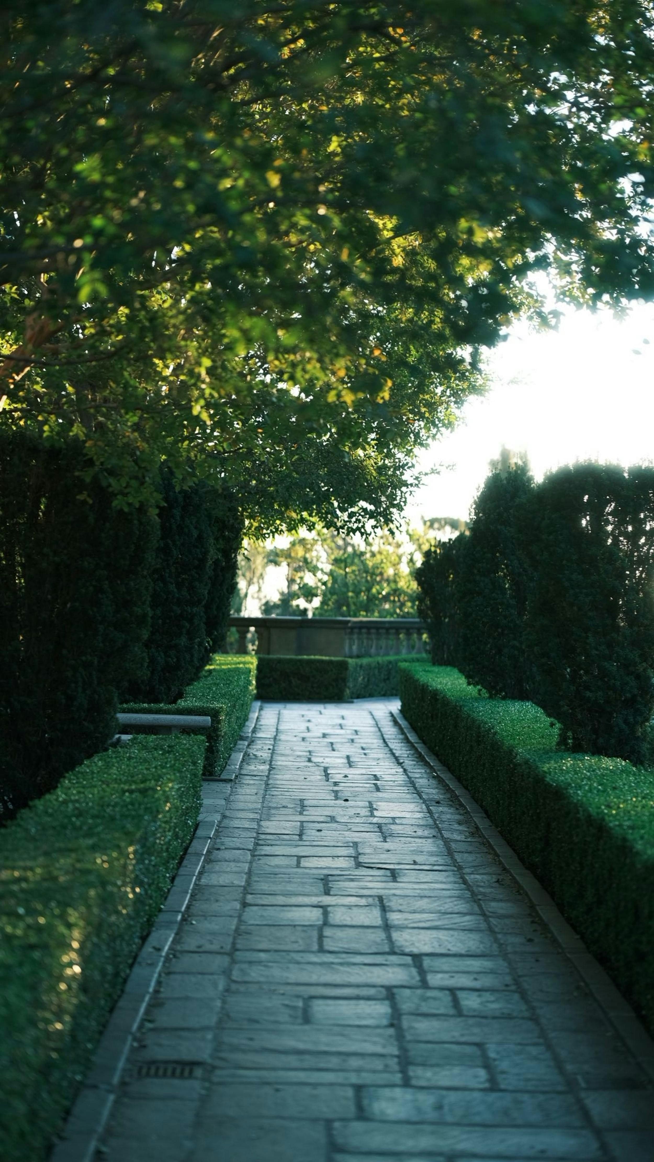 External garden path build